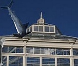 Dave Dark and the Sharks will be dropping in to do a rare Live performance on Tuesday 1st July at The Woodend Creative Workspace official opening.